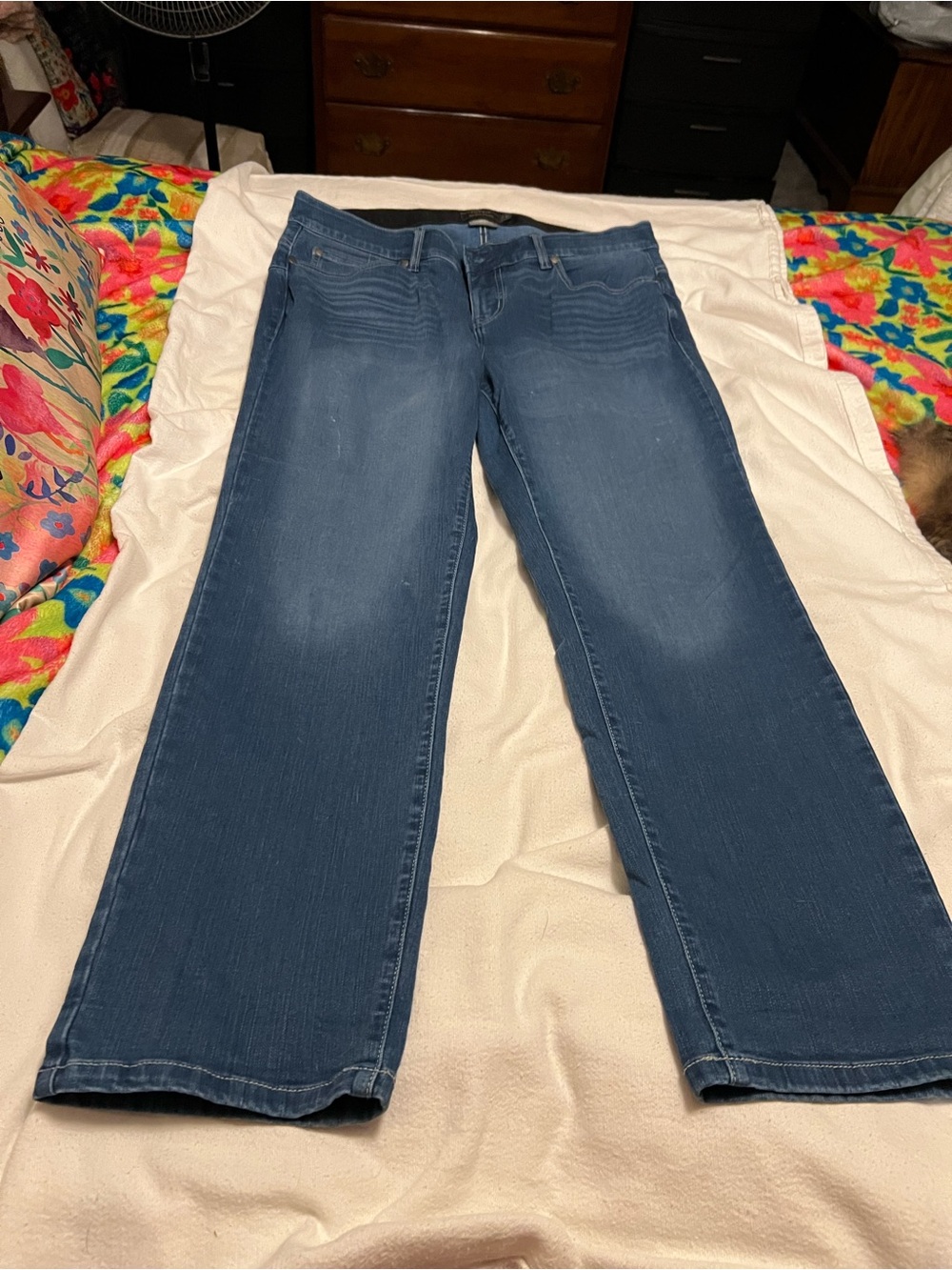 torrid Dark Blue Bombshell straight